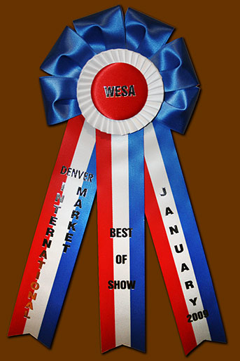 WESA Best of Show Award